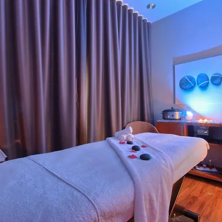 Hotel Novotel Paris Cdg Convention Roissy-en-France